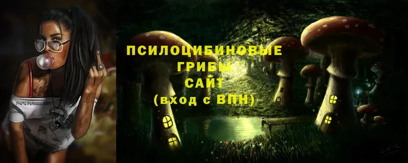 цены   Арамиль  Галлюциногенные грибы Magic Shrooms 